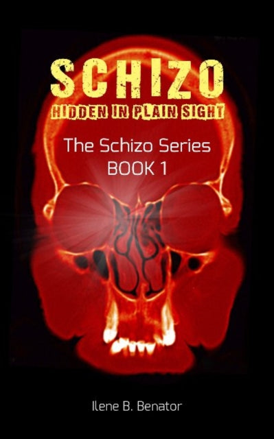 Book cover of: Schizo. By: Ilene B. Benator