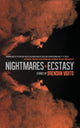 Book cover of: Nightmares in Ecstacy. By: Brendan Vidito