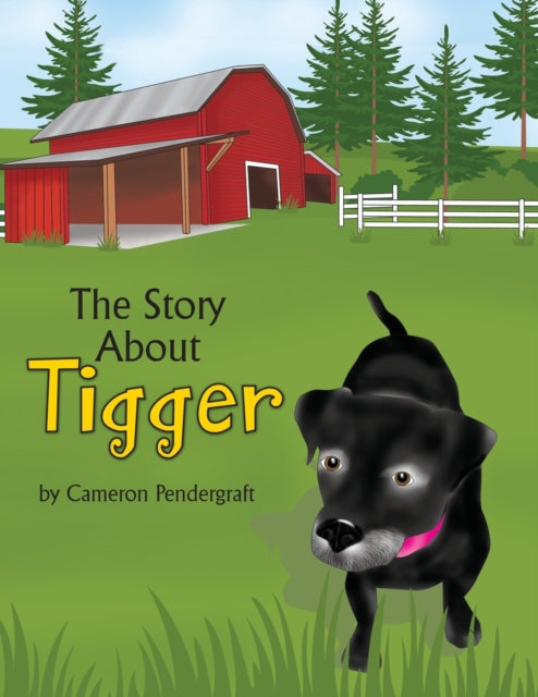 Book cover of: Story About Tigger