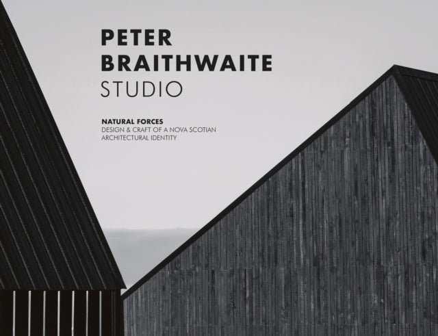 Book cover of: Peter Braithwaite Studio. By: Brian Carter