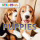 Book cover of: Puppies. By: K. A. Roe