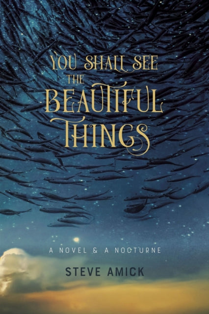 Book cover of: You Shall See the Beautiful Things – A Novel & A Nocturne. By: Steve Amick