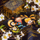 Book cover of: Botanica