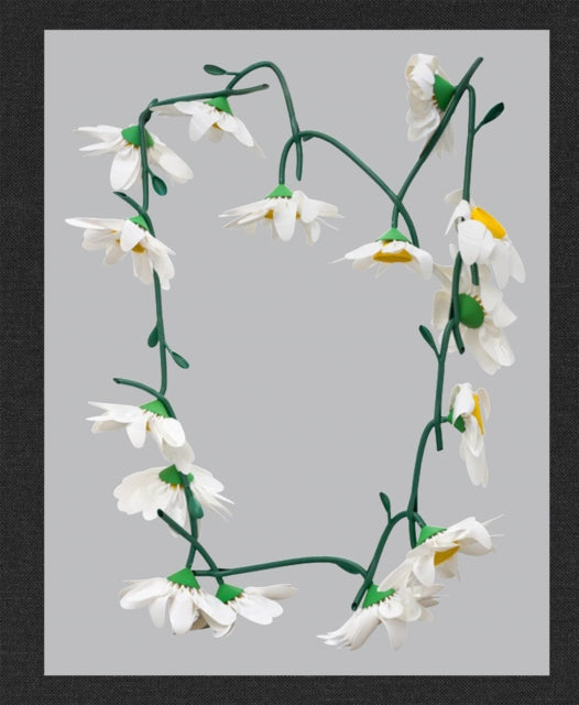 Book cover of: Kathleen Ryan: Daisy Chain. By: Kathleen Ryan