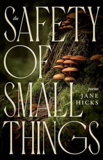 Book cover of: Safety of Small Things. By: Jane Hicks