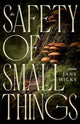 Book cover of: Safety of Small Things. By: Jane Hicks