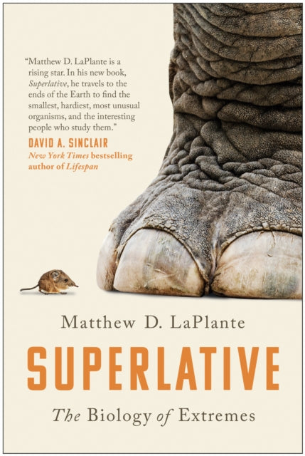 Book cover of: Superlative. By: Matthew D. LaPlante