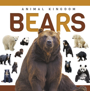 Bears
