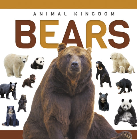 Bears