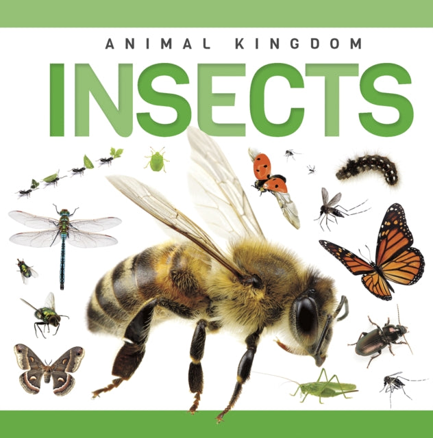Book cover of: Insects. By: Rebecca Phillips-Bartlett