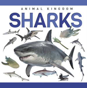 Sharks