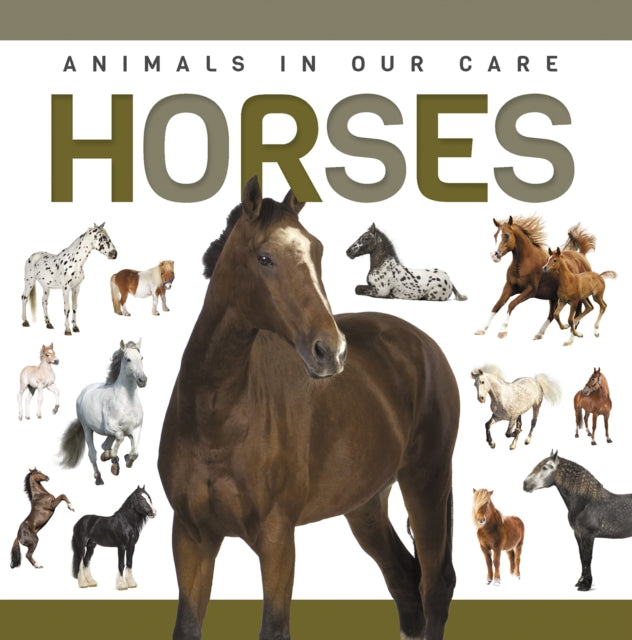 Book cover of: Horses. By: Alex Hall