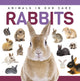 Book cover of: Rabbits. By: Alex Hall