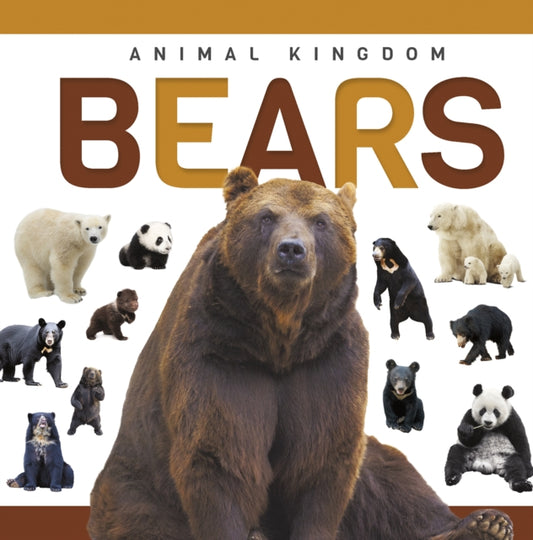 Book cover of: Bears