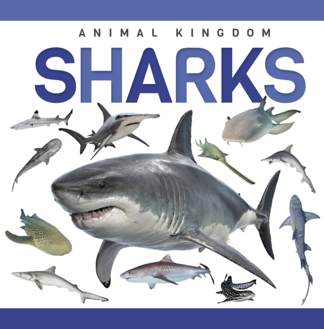 Book cover of: Sharks
