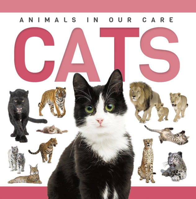 Book cover of: Cats