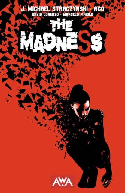 Book cover of: Madness. By: J. Michael Straczynski