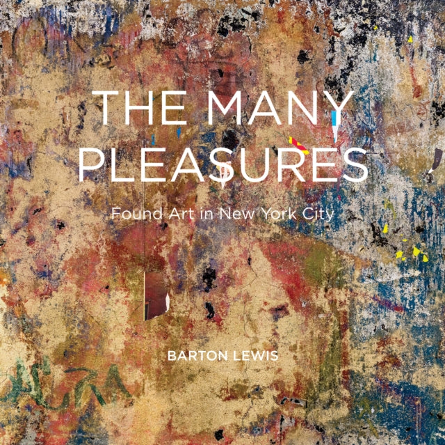 Book cover of: Urban Treasures. By: Barton Lewis
