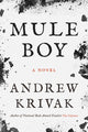 Mule Boy