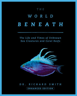 World Beneath