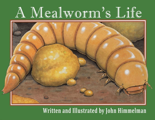Book cover of: Mealworm's Life. By: John Himmelman