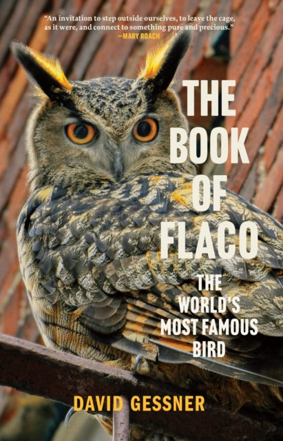 Book cover of: Book of Flaco. By: David Gessner