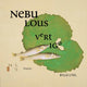 Book cover of: Nebulous Vertigo. By: Belle Ling