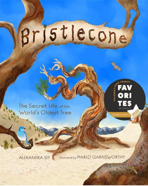 Book cover of: Bristlecone: The Secret Life of the World's Oldest Tree. By: Alexandra Siy
