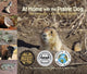 Book cover of: At Home with the Prairie Dog. By: Dorothy Hinshaw Patent