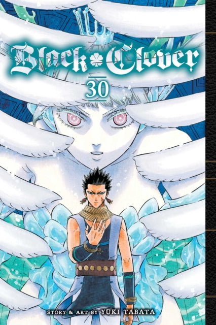 Black Clover, Vol. 30 9781974732319 Yūki Tabata