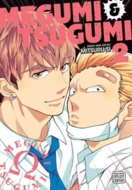 Book cover of: Megumi & Tsugumi, Vol. 2. By: Mitsuru Si