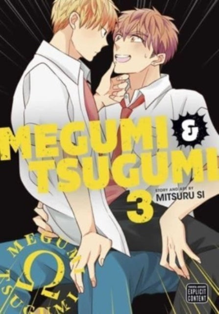 Book cover of: Megumi & Tsugumi, Vol. 3. By: Mitsuru Si