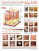 Book cover of: Common Lesions and Disorders of the Skin Anatomical Chart