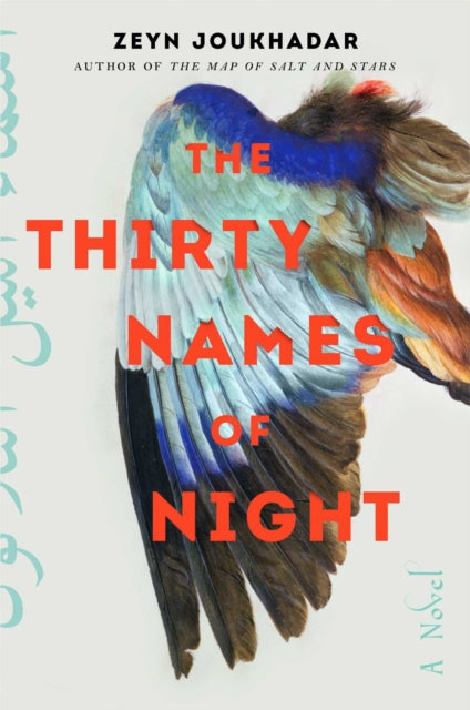 Book cover of: Thirty Names of Night. By: Zeyn Joukhadar