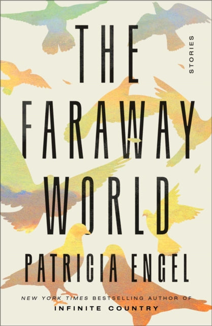 Book cover of: Faraway World. By: Patricia Engel