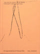 Book cover of: You gotta keep your head straight about clothes