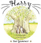 Book cover of: Harry a Cat's Tale, a Purrfect Day