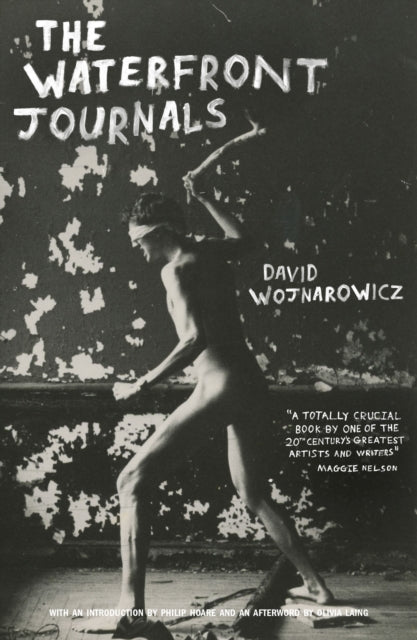 Book cover of: Waterfront Journals. By: David Wojnarowicz