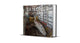 Book cover of: Baikonur. By: Jonk