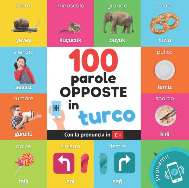 Book cover of: 100 parole opposte in turco