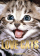 Book cover of: Love Cats