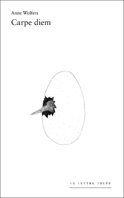 Book cover of: Anne Wolfers. By: WOLFERS