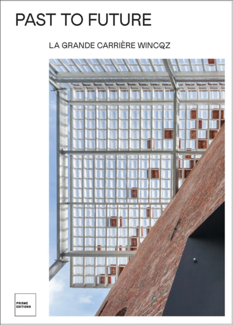 Book cover of: Past to Future. By: Patrick Bribosia