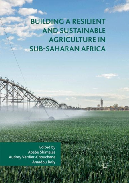 Book cover of: Building a Resilient and Sustainable Agriculture in Sub-Saharan Africa