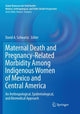 Book cover of: Maternal Death and Pregnancy-Related Morbidity Among Indigenous Women of Mexico and Central America. By: David A. Schwartz