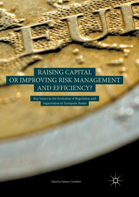 Book cover of: Raising Capital or Improving Risk Management and Efficiency?. By: Fabiano Colombini