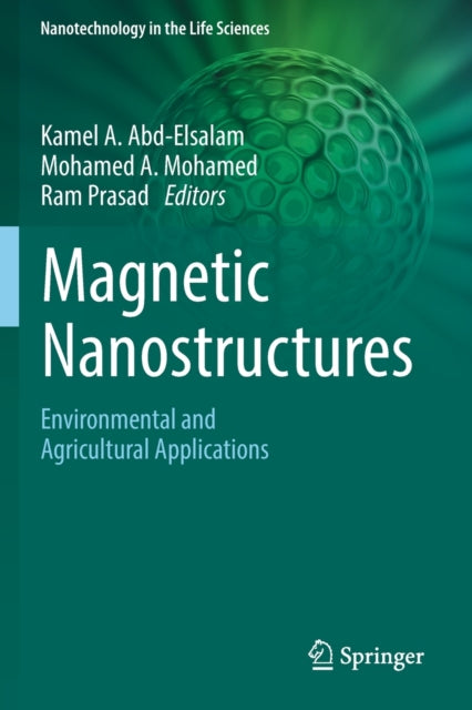 Magnetic Nanostructures