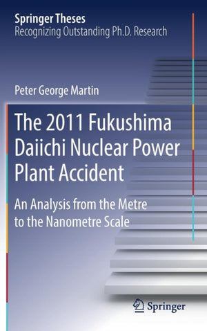 The 2011 Fukushima Daiichi Nuclear Power Plant Accident