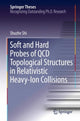 Book cover of: Soft and Hard Probes of QCD Topological Structures in Relativistic Heavy-Ion Collisions. By: Shuzhe Shi