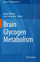 Book cover of: Brain Glycogen Metabolism. By: Mauro DiNuzzo